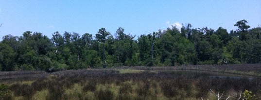 Gulf Islands National Seashore is one of National Park Service Sites.