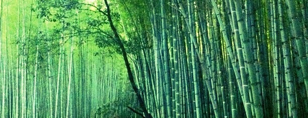 Arashiyama Bamboo Grove is one of 秘封るる部京都2015収録地.