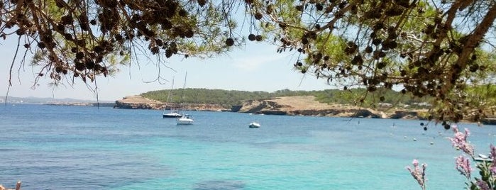 Cala Bassa is one of ibiza + formentera.