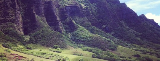 Kualoa Ranch is one of Eric's Oahu Favorites.