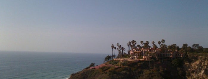 Scripps Coastal Reserve is one of sandeezybeezy.