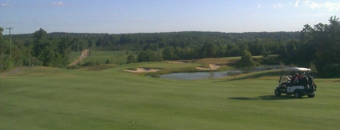 Coyote Preserve Golf Course is one of Lieux qui ont plu à David.