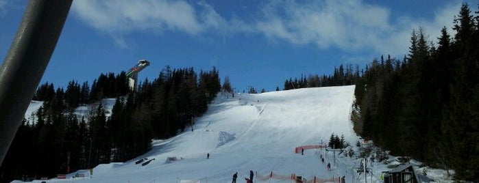 Ski Štrbské Pleso is one of SKI&SNB Slovakia.