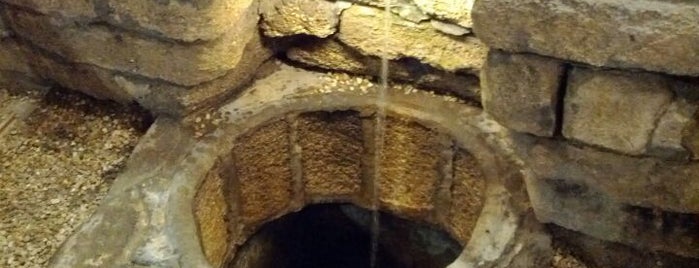 The Fountain Of Youth Archaeological Park is one of St Augustine.