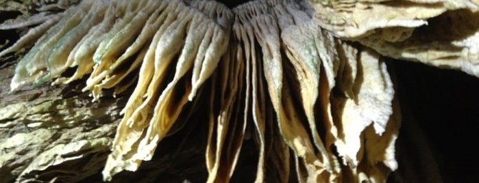 Ягодинска пещера (Yagodina cave) is one of 100 национални туристически обекта.