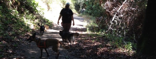 Garland Ranch Regional Park is one of South Bay: To Do.