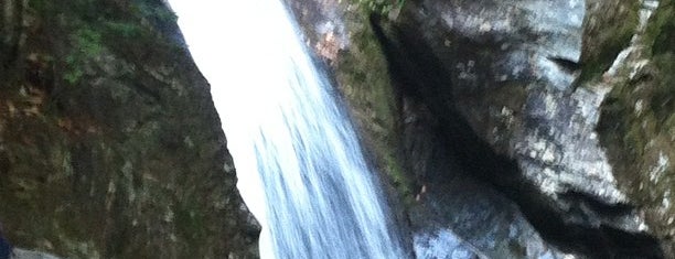 Bingham Falls is one of Posti che sono piaciuti a Candice.