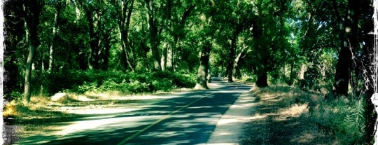 American River Bike Trail is one of Best Running and Hiking Trails.
