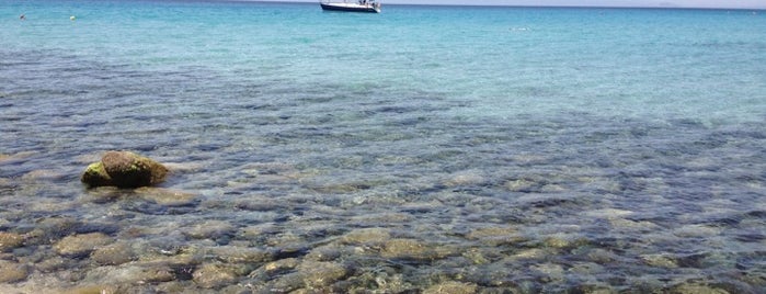 Cann'e Sisa is one of Spiagge della Sardegna.