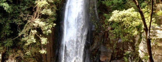 西椎屋の滝 is one of 日本の滝百選.