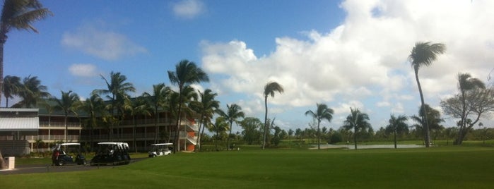 19 Hole Golf Bar is one of Tempat yang Disukai Mauricio.