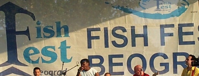 Fish Fest is one of pivo!.