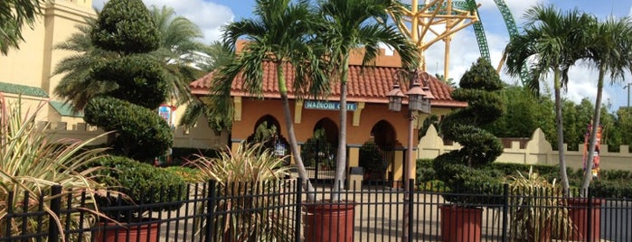Busch Gardens Tampa Bay is one of Top 10 favorites places in Saint Petersburg, FL.