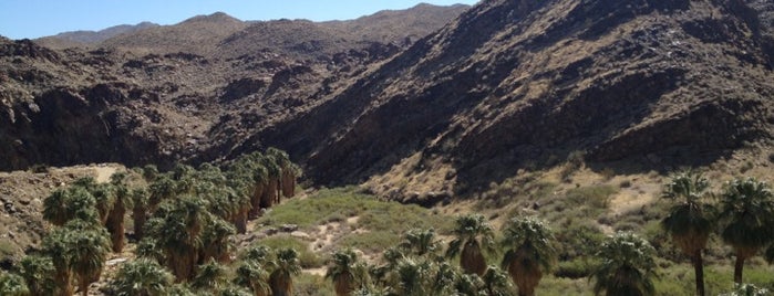 Indian Canyons is one of SoCal Musts.