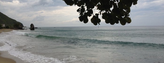 Playa La Punta is one of Lugares favoritos de Jimmy.