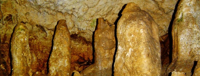 Jaskinia Mroźna is one of Tatry.