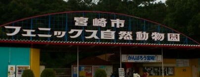 フェニックス自然動物園 is one of 宮崎.