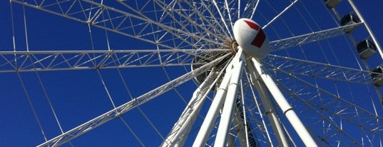 Wheel of Brisbane is one of beyond "Paradise".