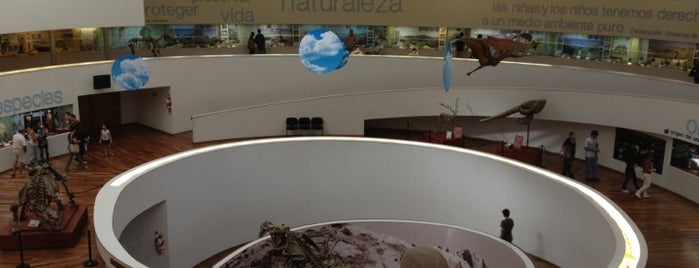 Museo Provincial de Ciencias Naturales "Dr. Arturo Umberto Illía" is one of Lugares favoritos de Marcela.