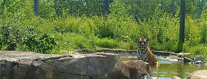 Sedgwick County Zoo is one of Wichita To Do List.