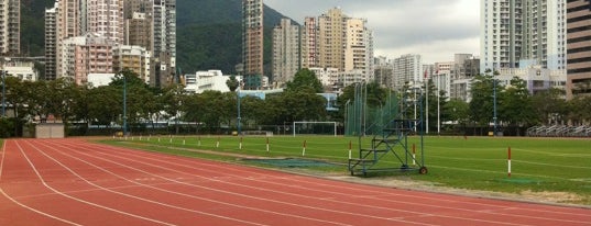 Sham Shui Po Sports Ground is one of Soccer Field Hong Kong.