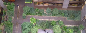 Ford Foundation Garden is one of NYC Secret Gardens.