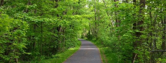 Norwottuck Rail Trail is one of Amherst area.