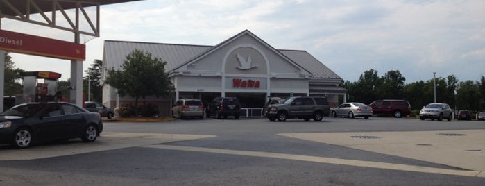 Wawa is one of Lashes’s Liked Places.