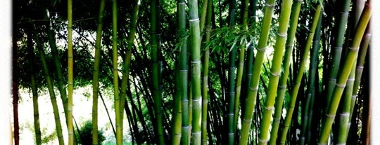 Bamboo Gardens is one of Lugares favoritos de Gary A.