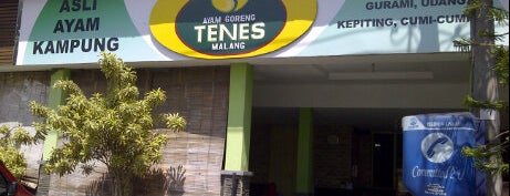 Ayam Goreng Tenes is one of kuliner malang.