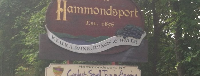 Village Of Hammondsport is one of FINGER LAKES NEW YORK.
