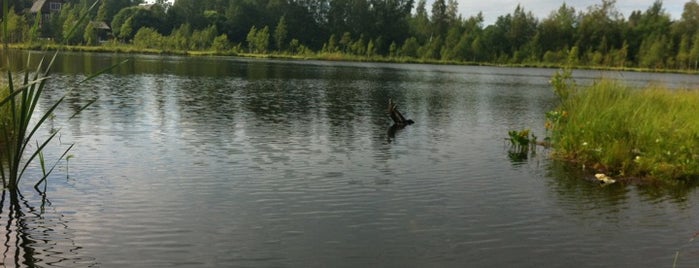 Лаппелевское озеро is one of Tempat yang Disukai Varenik.