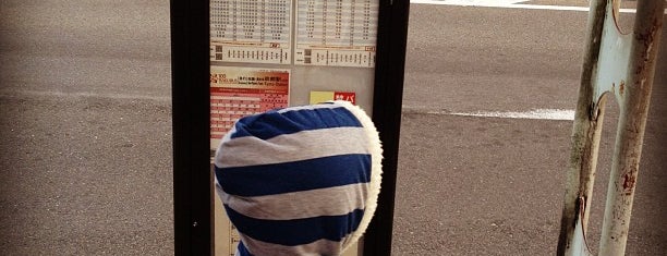 岡崎公園 動物園前 バス停 is one of 京都市バス バス停留所 1/4.