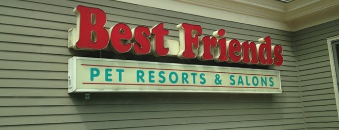 Best Friends Pet Care is one of Dog places.