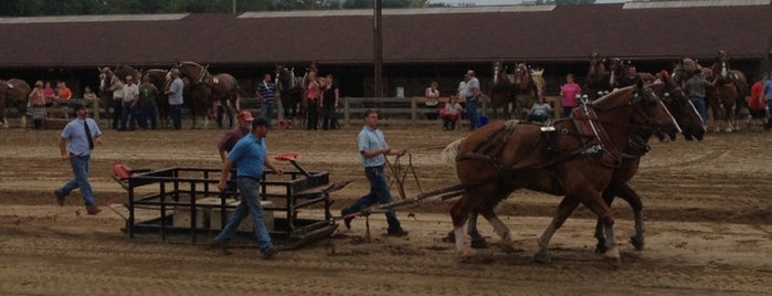 Bull Ridin Ring @ The Fair is one of Hunt Valley,Cockeysville, Belair, Towson MD.