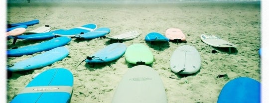 Skudin Surf is one of NYC Cool things to do list!!!.