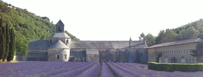 Abbaye Notre-Dame de Sénanque is one of Trips / Vaucluse, France.