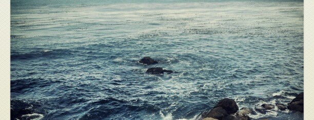 Monterey Bay Aquarium is one of SF/Monterey/Napa 2012.