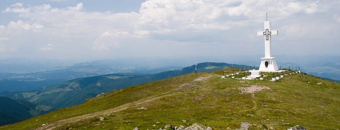 Vârful Giumalău is one of Trails.