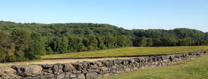 Brandywine Creek State Park is one of Outdoor To-Dos in Southeastern PA, NJ & DE..