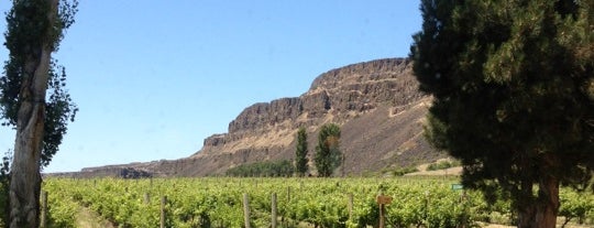Cascade Cliffs Vineyard & Winery is one of Wine Tasting Tours Columbia Gorge A.V.A..