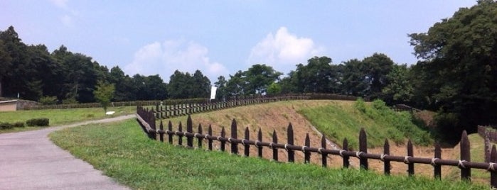 Hachigata Castle Ruins is one of 日本100名城.