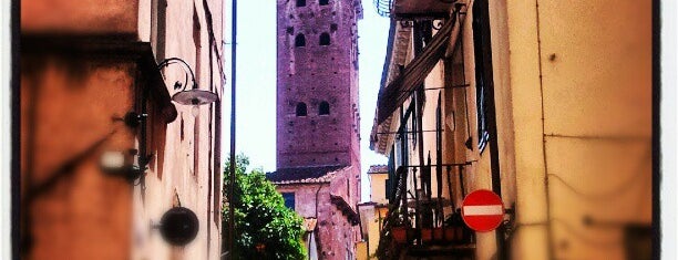 Torre Guinigi is one of 2012 Italien.