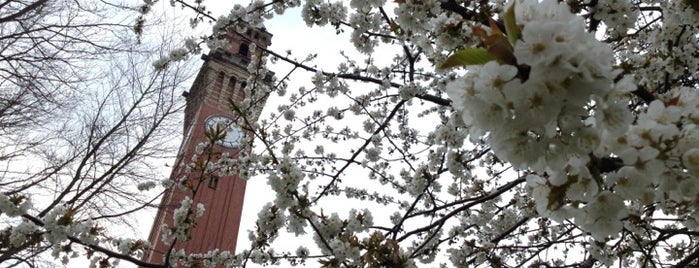 Joseph Chamberlain Clock Tower is one of Elliott’s Liked Places.