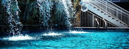 Dante's Pool is one of Key West, FL.