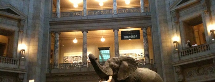 National Museum of Natural History is one of Family Trips and Adventures.