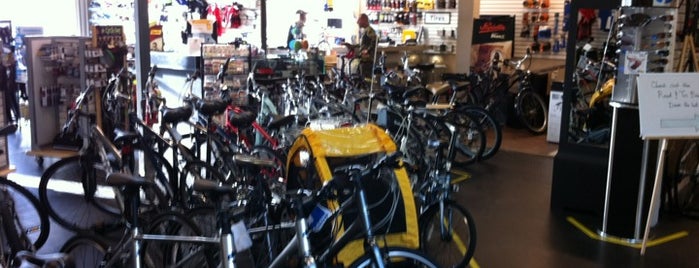 St Petersburg Bicycle And Fitness is one of Bike Rentals Florida.
