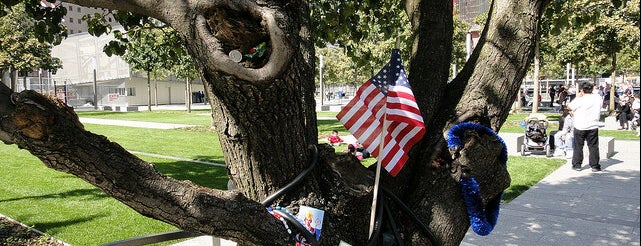 9/11 Survivor Tree is one of NYC Monuments & Parks.
