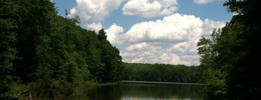 Burke Lake Park is one of NoVA Favs & Frequents.