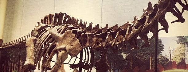 Carnegie Museum of Natural History is one of Welcome to Pittsburgh!.